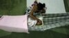 Brazil Health Service Cracking Under Strain of Microcephaly