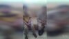 Kurds Capture IS-trained Would-be Child Suicide Bombers in Syria