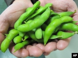 FILE - Man holds edamame.