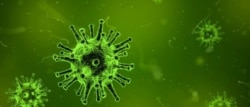 Ilustrasi virus korona