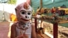 ល្ខោនខោល​ត្រូវ​បាន​​​ដាក់​សម្ដែង​ជា​លើក​ទី​មួយ​នៅ​តំបន់​រដ្ឋធានី​វ៉ាស៊ីនតោន