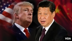 Donald Trump & Xi Jinping