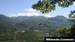 Salah satu perkebunan kopi di Lembah Orosi di Costa Rica, yang juga menjadi tempat tujuan pariwisata.