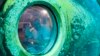 Cousteau's Grandson Surfaces After Record Underwater Stay