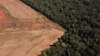 Foto udara menunjukkan kawasan hutan Amazon terus mengalami ancaman penebangan hutan (deforestasi), di Nova Xavantina, provinsi Mato Grosso, Brazil (foto: dok). 