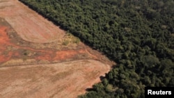 Hutan di perbatasan antara Amazonia dan Cerrado di Nova Xavantina, negara bagian Mato Grosso, Brazil, 28 Juli 2021. (Foto: REUTERS/Amanda Perobelli)