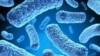 WHO: Tuberculosis Can Be Ended by 2030