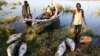 Report: 'Food Shocks' Increasing in Frequency Over Last Five Decades