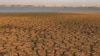 Higher Food Prices Loom in 2011