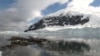 Pollution Spreads in Antarctica