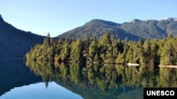 Los Alerces National Park: Lake environment with temperate Alerce forest. (Ricardo Villalba)