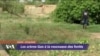 Les arbres Gao à la ressources des forêts