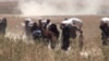 Syrian Refugees Return to Tal Abyad