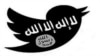 Jihadists have reacted angrily to US-led airstrikes on locations in Syria. (Twitter)