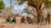 Niger: sept civils tués dans une attaque "terroriste" près du Burkina Faso