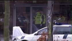 Washington Eyes Denmark Attacks Amid Debate on Authorizing Fight Against IS