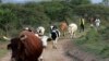 US Threatens to Suspend Part of South Africa Trade Deal