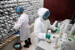 FILE - Medical personnel in protective gear prepare medicine for coronavirus-infected patients, at a pharmacy at Wuhan Tongji Hospital, in Wuhan, China, March 2, 2020. Chinese health officials say a first vaccine should soon be available.