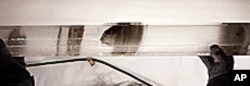 The very last ice core sample collected from the NEEM project shows bits of rock that were trapped in the ice over 100,000 years ago.