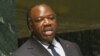 Special Economic Zone to Add Value to Gabon’s Timber 