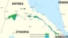 2 Eritrean Pilots Defect to Ethiopia With Jets, Group Says