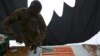 A U.S. soldier cuts into a cake during Fourth of July celebrations at the Bagram airbase, north of Kabul, Afghanistan, July 4, 2013.