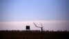 Australia's Queensland Tackles Climate-Driven Disease, Deaths