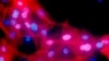 16x9 Image