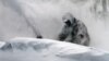 Neil Hodges uses a snow blower to clear drifting snow from in front of his home in Concord, N.H. on Saturday, Feb. 9, 2013.