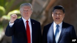 Le président américain Donald Trump avec son homologue chinois Xi Jinping à Mar-a-Lago, Palm Beach, Floride, 7 avril 2017.