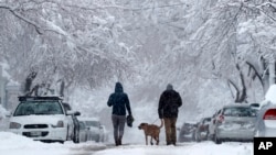 A couple walks their dog beneath snow-covered trees during a nor'easter, March 8, 2018, in Portland, Maine.