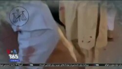 اخبار شامگاهی