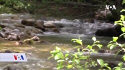 BiH: Otpor malim hidroelektranama