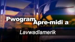 Pwogram aprè-midi a TV