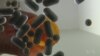 US Launches War Against Opioid And Heroin Addiction