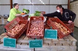 Vegetable grower Didier Lenoble, wearing a protective face mask, poses among boxes with vegetable put on sell during the outbreak of Coronavirus disease (COVID-19) in Perigny-sur-Yerres, France, March 31, 2020. (REUTERS/Charles Platiau)
