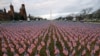 COVID-19 Deaths Rising In 30 US States Amid Winter Surge