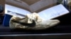 Old, Rare Nike Shoes Sold for Hundreds of Thousands of Dollars