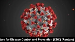  The ultrastructural morphology exhibited by the 2019 Novel Coronavirus