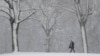 Une violente tempête de neige frappe le nord-est des Etats-Unis