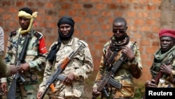 Militias Finance Africa's Unrest with Elephant Tusks
