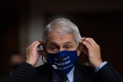 FILE - Dr. Anthony Fauci, Director of the National Institute of Allergy and Infectious Diseases at the National Institutes of Health, attends a hearing on Capitol Hill, Sept. 23, 2020.