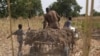 African Agriculture Gets a Boost 