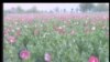16x9 Image