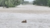 More Flooding Misery for Weather-Weary Australia