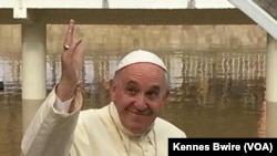 Papa Francis
