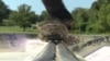 Street Skaters Exchange Tricks and Support
