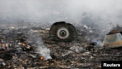 FILE - The site of a Malaysia Airlines Boeing 777 plane crash is seen near the settlement of Grabovo in Ukraine's Donetsk region, July 17, 2014. 