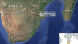 Kruger National Park, South Africa