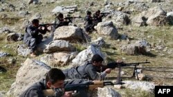 Iranın İraqla sərhəd bölgəsində 21 yaraqlı öldürülüb